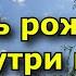 Не ищите любовь снаружи она рождается внутри вас