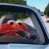 Elmo Running From The Cops