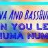 Nightcore Alina And BassHunter Whe You Leave Numa Numa