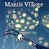 Hollow Knight Fungal Wastes OST Extended Mantis Village