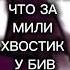 Дух Сталина приди со мной поговори духсталинапридисомнойпоговори