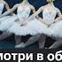 Александр Архангельский про жизнь и работу в условиях тотальной цензуры