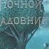 Детские книги Ночной садовник Терри Фэн