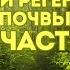 3 Шага к быстрой регенерации почвы Часть 1 Поиск полезных микробов в вашем регионе