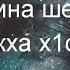 Сан кийрара дог