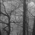 Depressive Black Metal Instrumental Doomer Playlist III