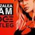 Iggy Azalea Team Budge Bootleg FREE DOWNLOAD