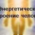 Энергетическое строение человека тонкие тела и чакры Марина Смирнова