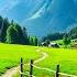 Calming Music For Nerves Healing Music For Heart And Blood Vessels Relaxation Music For The Soul
