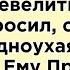 Они смотрели друг другу прямо в глаза Одноухая волчица