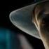 Gangster Squad Official Trailer HD