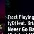 TyDi Feat Brianna Holan Never Go Back Original Mix