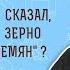 Почему Христос сказал что горчичное зерно меньше всех семян Мф 13 32 Прот Олег Стеняев