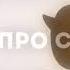 Песня про спайка