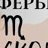 СКОРПИОН ПРОГНОЗ ВСЕ СФЕРЫ ЖИЗНИ НА СЕНТЯБРЬ 2024