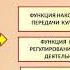 лекция по культурологии 1