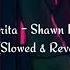 Shawn Mendes Senorita Solo Version Slowed And Reverb