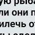 Зять Взял Тещу на Ночную Рыбалку Сборник Свежих Анекдотов Юмор