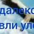 Далеко далеко далеко журавли улетли Русавук Песня Журавли