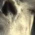 Darksiders 2 Death Strikes Full Trailer