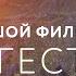 БОЛЬШОЙ ФИЛЬМ ПРО ДАГЕСТАН Махачкала Жизнь в горных аулах Сулакский каньон Шамильский район