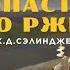 Разбор романа Над пропастью во ржи с филологом Свердловым М И
