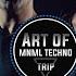 Arni AnaYa With You Art Of Trip