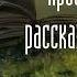 Аудиокнига Олег Гор Просветленные рассказывают сказки часть 5