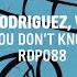 Luis Rodriguez Vursov You Don T Know