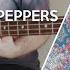 Red Hot Chili Peppers Love Of Your Life Bass Cover Play Along Tabs And Notation