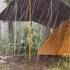 1 HOUR HEAVY RAIN STORM LONG RAIN STORM WITH DEEP THUNDERS IN MY SOLO CAMPING