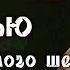 Интервью Досточтимого шейха Саида афанди к с