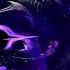 Austin Griffin S Original Look I Think Throne Of Seal Shorts Throneofseal Donghua