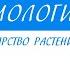 6 класс Биология Царство растений