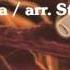 Magic Fly Ecama Arr Starink