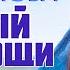 КАК СПАСАЕТ МОЛИТВА Рассказ ЖИВЫЙ В ПОМОЩИ читает Светлана Копылова Автор Ольга Рожнёва