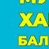 Балик мучали хакида Балик мучалида тугилганлар