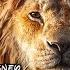 The Lion King 2019 Movie Donald Glover Seth Rogen Chiwetel Ejiofor Review And Facts