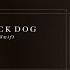 Taylor Swift The Black Dog Official Lyric Video