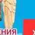 Откровения Ангелов Хранителей Начало 1 Любовь Панова Ангелы Хранители Читает Таль Ман