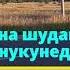 суруди бехтарин аз архив 1984 сол