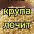 Эта крупа лечит почки здоровье полезныесоветы медицина почки