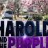 HAROLD AND THE PURPLE CRAYON Extended Preview