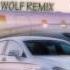 Nicolae Guta Hai In Mercedes Hai In Avion DJ WOLF DUBSTEP