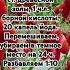 Про томаты помидоры овощи дача огород