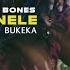 Stones Bones Bukeka Kwanele Original Mix