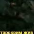 сцена после титров трансформеры 3