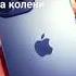 На колени на колени мем эдит Phonk Music Funny