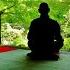 Zazen Meditation At Home