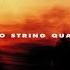 String Quartet No 1 In C Minor Op 51 No 1 I Allegro